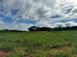 #2783 - Fazenda para Venda em Primavera do Leste - MT