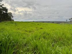 #2783 - Fazenda para Venda em Primavera do Leste - MT