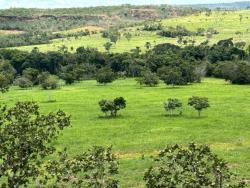 Venda em zona rural - Primavera do Leste