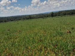 Chácara para Venda em Montes Claros de Goiás - 5