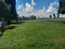 #2794 - Chácara para Venda em Montes Claros de Goiás - GO