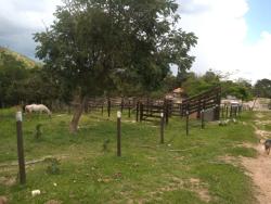 Venda em zona rural - Goiás