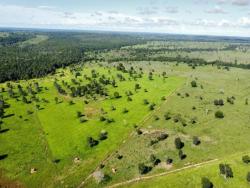#2833 - Fazenda para Venda em São Miguel do Araguaia - GO