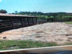 #2845 - Fazenda para Venda em Sanclerlândia - GO