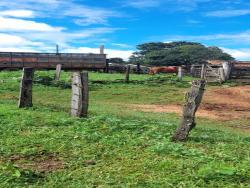 #2886 - Sítio para Venda em Arenópolis - GO