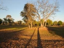 #2901 - Fazenda para Venda em São Miguel do Araguaia - GO