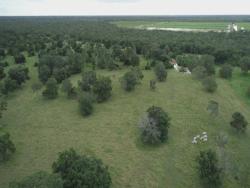 Fazenda para Venda em São Miguel do Araguaia - 4