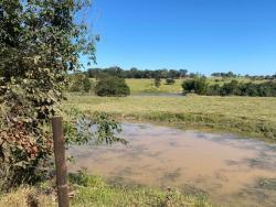 Chácara para Venda em Taquaral de Goiás - 5