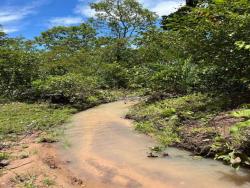 Fazenda para Venda em Paranã - 4