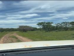 Fazenda para Venda em Paranã - 5