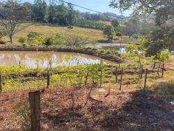 Venda em zona rural - Itaguari