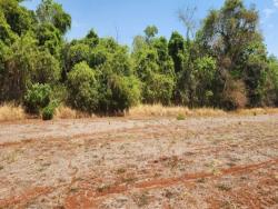 #2949 - Fazenda para Venda em Diorama - GO