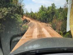 #2949 - Fazenda para Venda em Diorama - GO