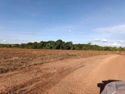 #2950 - Fazenda para Venda em Piranhas - GO