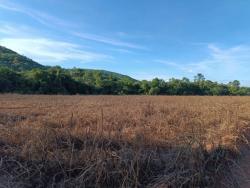 #2950 - Fazenda para Venda em Piranhas - GO