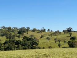 Venda em zona rural - São Luís de Montes Belos