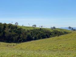 #2976 - Fazenda para Venda em São Luís de Montes Belos - GO