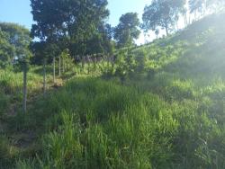 Chácara para Venda em Itapuranga - 5