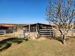 Chácara para Venda em Bela Vista de Goiás - 5