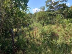 Chácara para Venda em Montividiu do Norte - 4