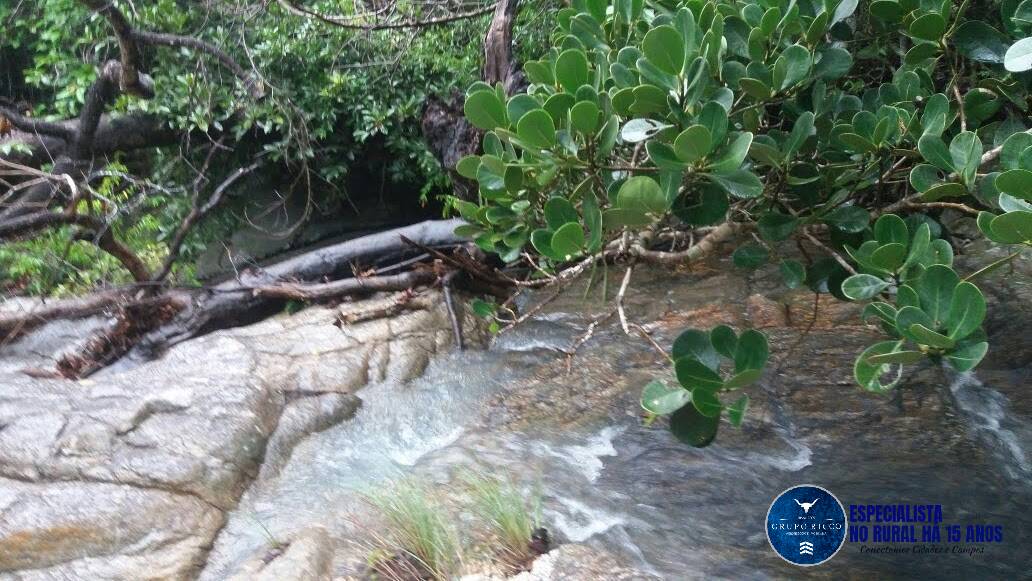 Chãozão - O Maior Portal de Anúncios de Imóveis Rurais do Brasil.